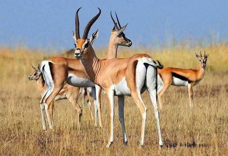 Destinations in Uganda