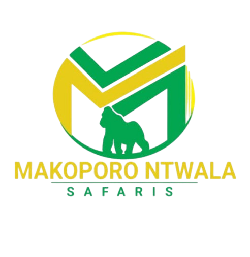 Makoporo-Ntwala safaris logo