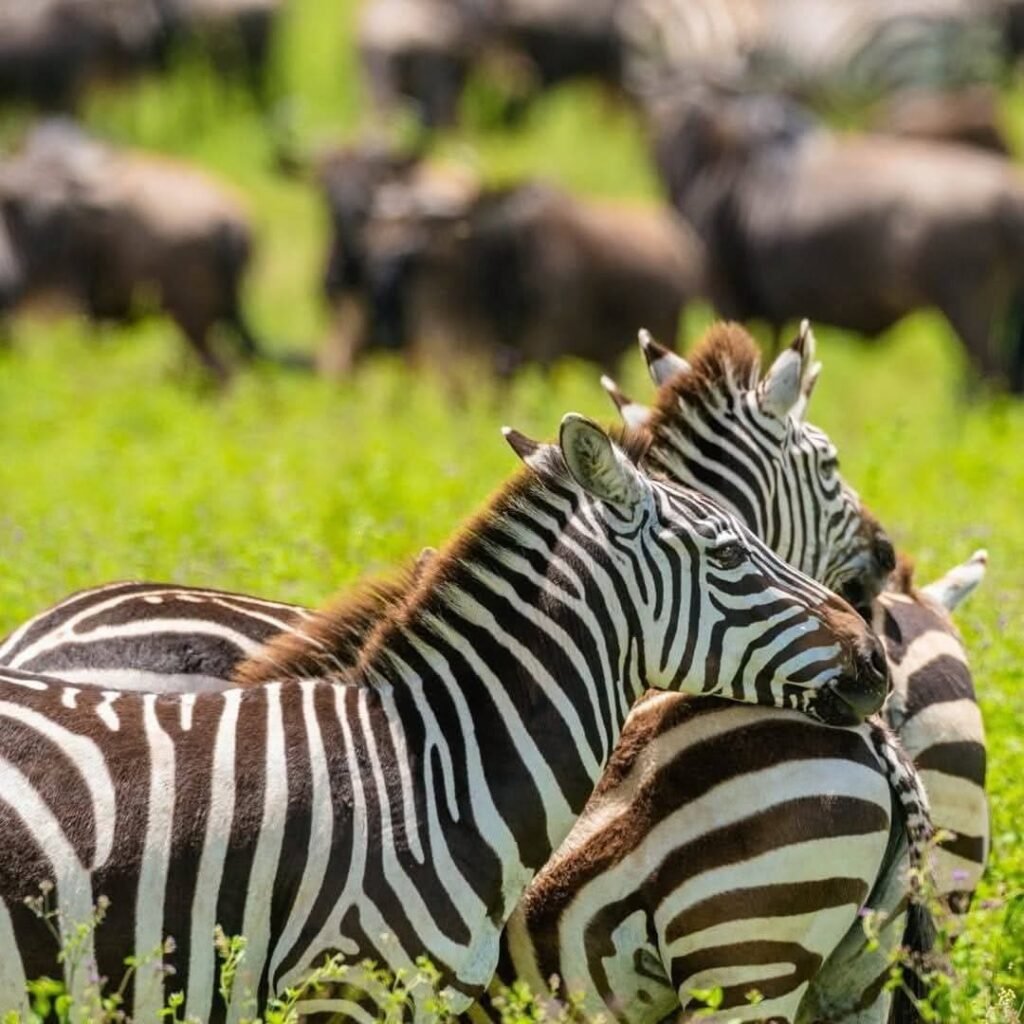 Lake Mburo National Park