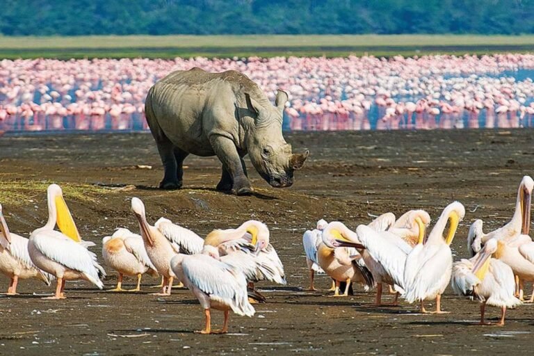 lake Nakuru National PARK